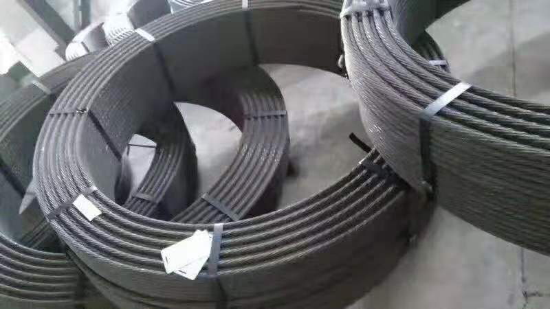 yylgjx (2).jpg yylgjx (2).jpg